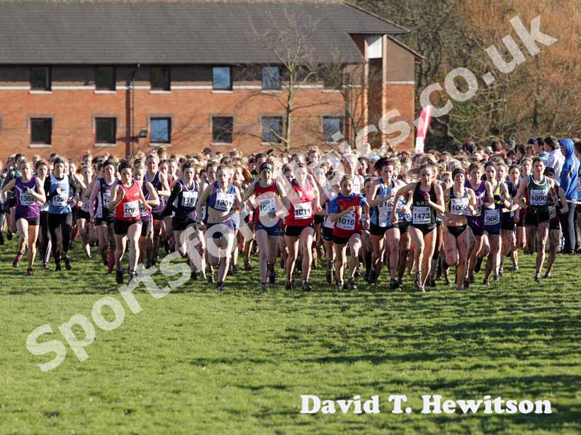 Start of the womens 2013 BUCS Cross Country Championships.